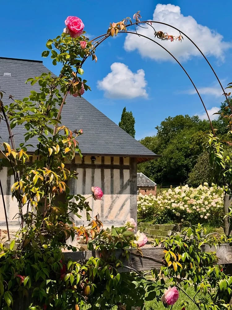 Le Clos du Haut on Instagram, photograph 2