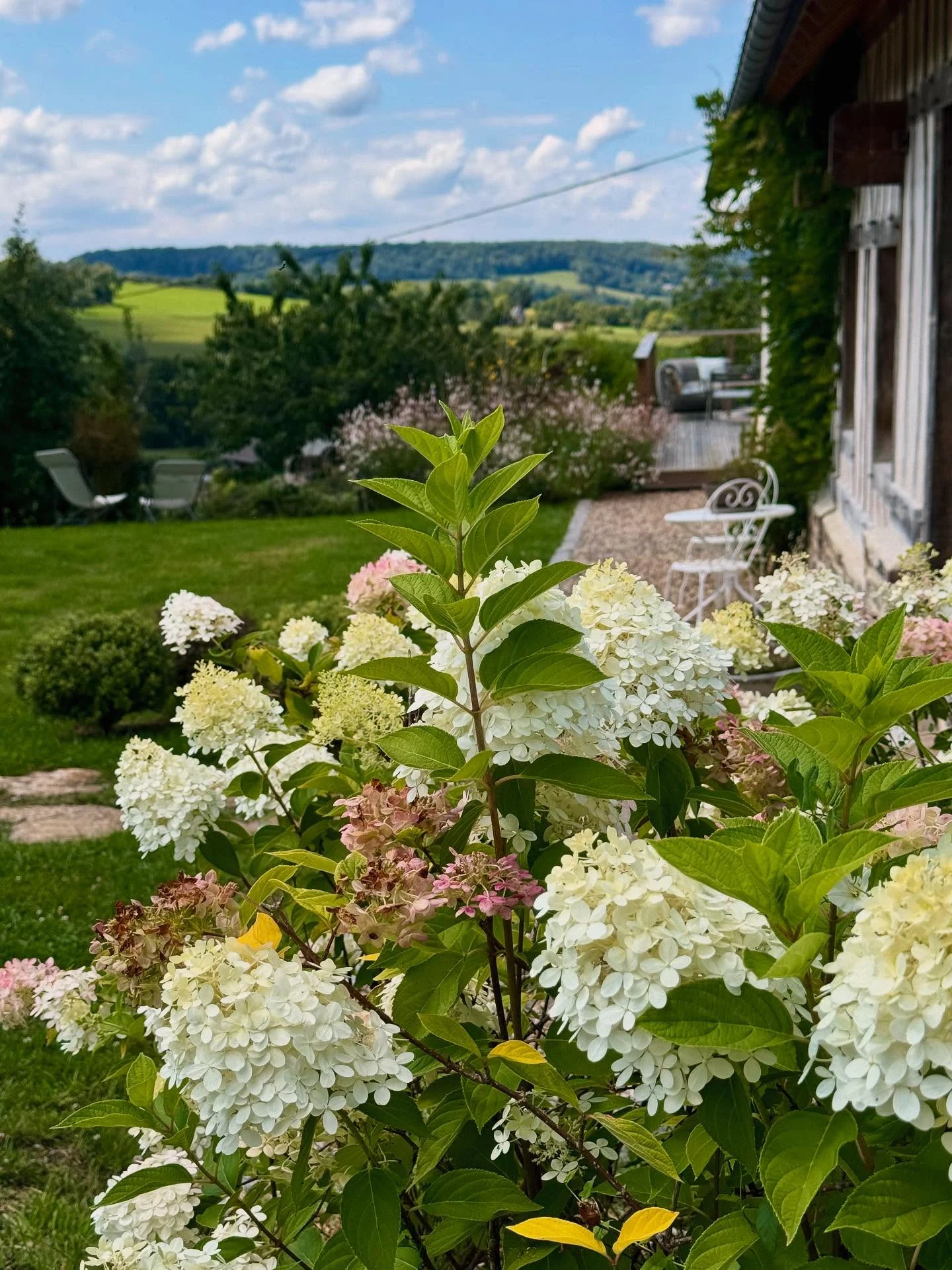 Le Clos du Haut on Instagram, photograph 3