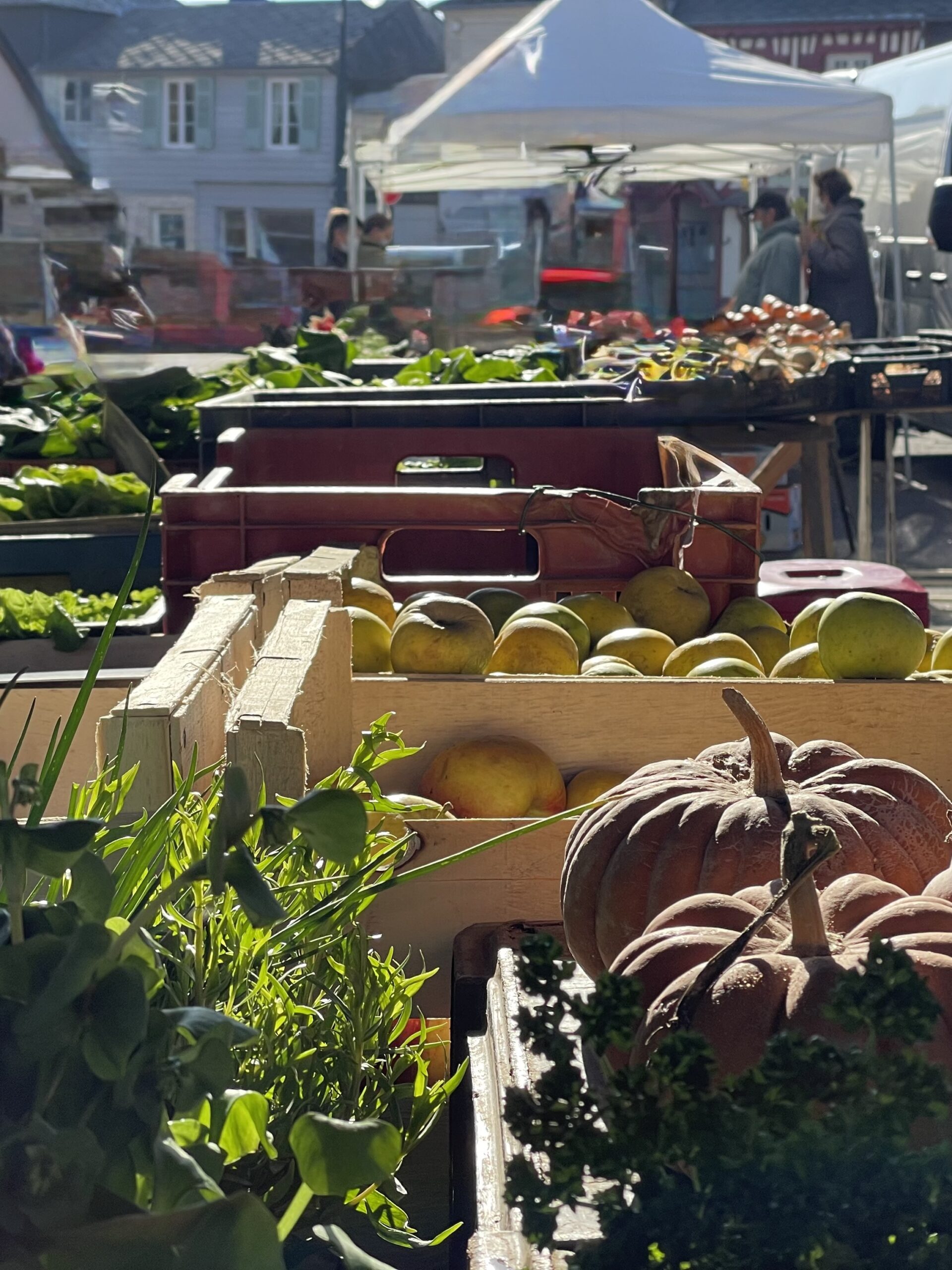 Étal de fruits sur un marché français
