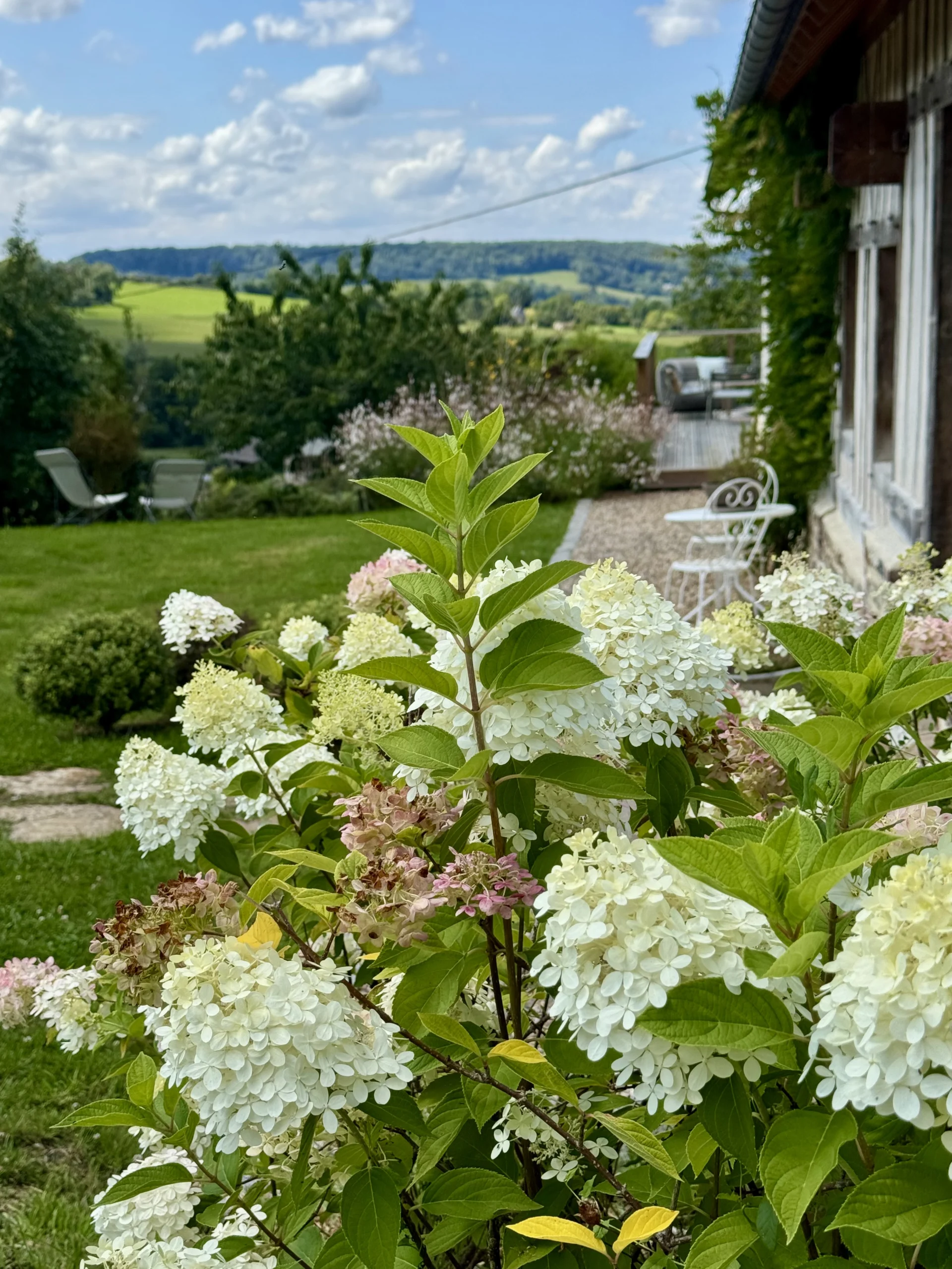 Le Clos du Haut - Photo 27