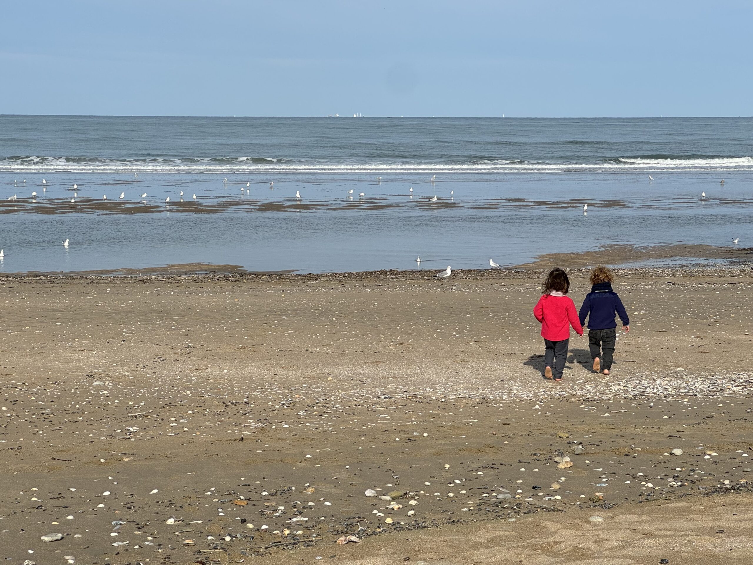 Famille marchant au bord de la mer