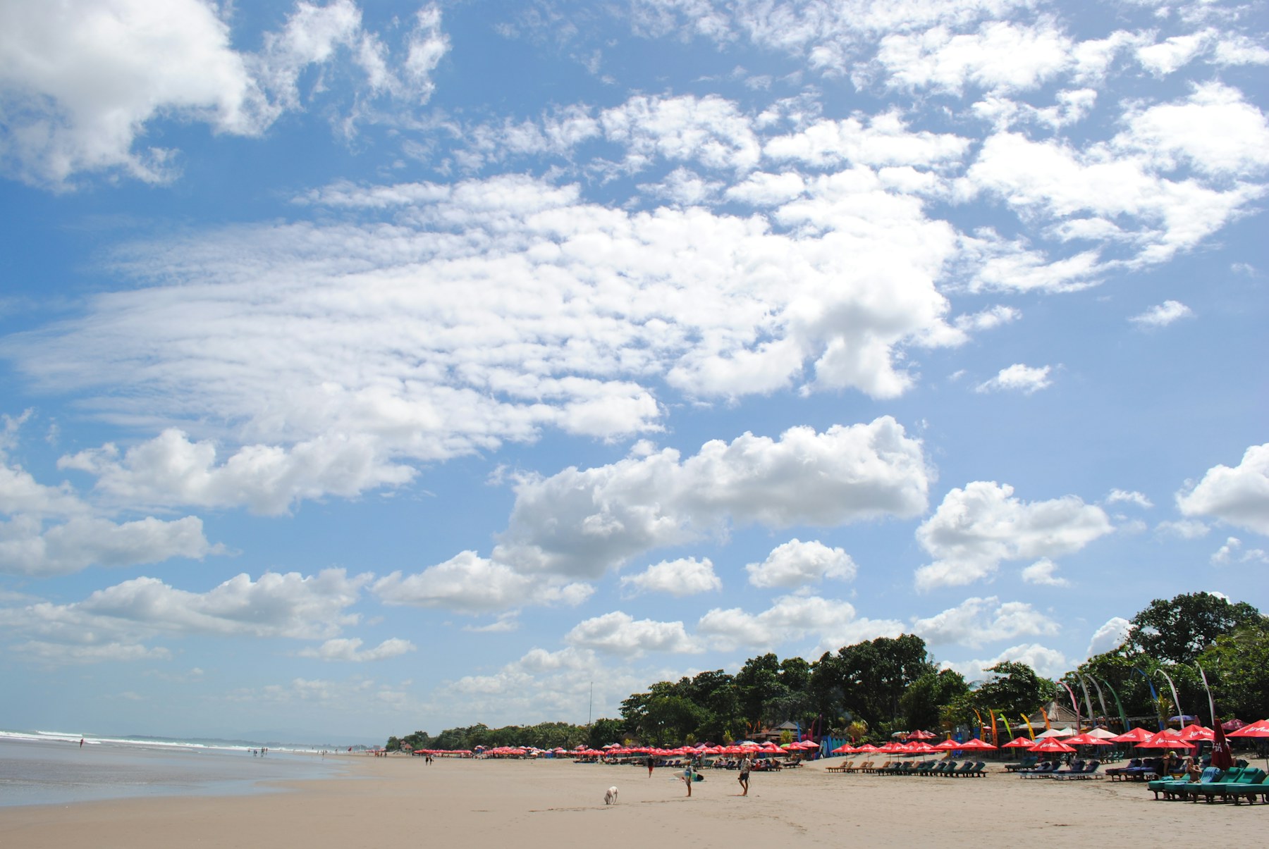 Promenade respectueuse sur une plage du Débarquement