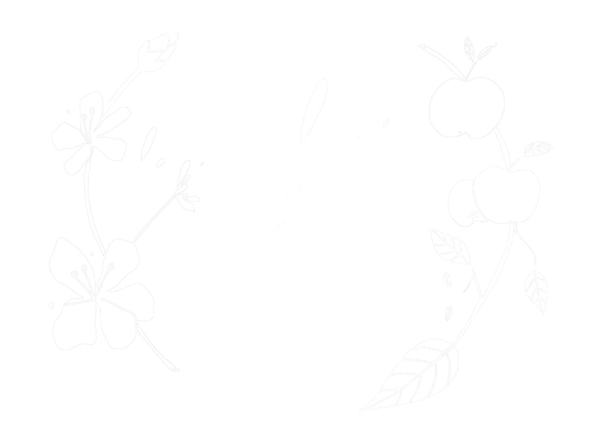Le Clos du Haut
