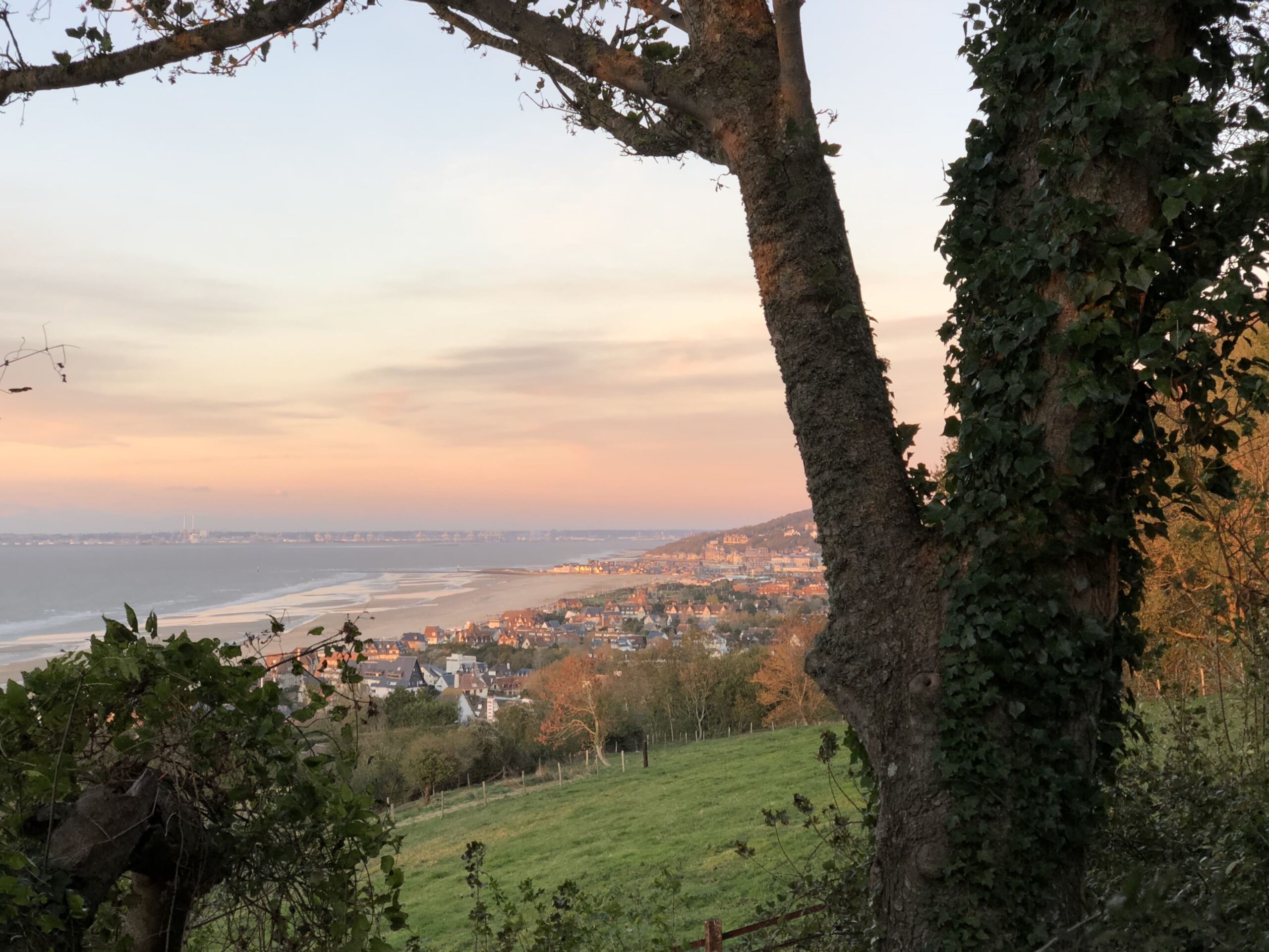 Panorama de falaises sur la mer